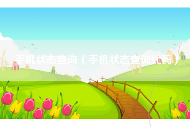 手机状态查询（手机状态查询代码）