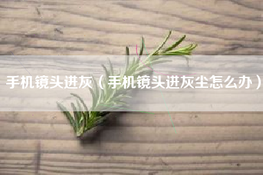 手机镜头进灰（手机镜头进灰尘怎么办）