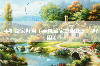 手机管家好用（手机管家好用还是360好用）