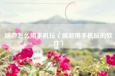 端游怎么用手机玩（端游用手机玩的软件）