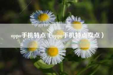 oppo手机特点（oppo手机特点卖点）