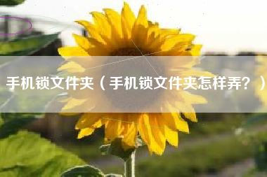 手机锁文件夹（手机锁文件夹怎样弄？）
