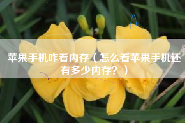 苹果手机咋看内存（怎么看苹果手机还有多少内存？）