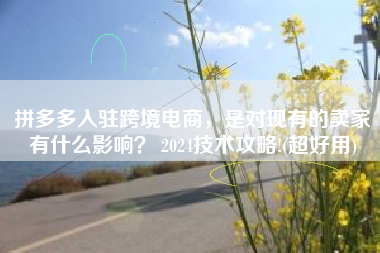 拼多多入驻跨境电商，是对现有的卖家有什么影响？ 2024技术攻略!(超好用)