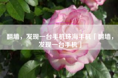 翻墙，发现一台手机珠海手机「翻墙，发现一台手机」