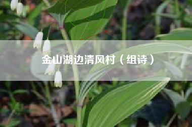 金山湖边清风村（组诗）